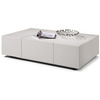 Sleek Modern Coffee Table with Hidden Storage