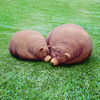 Sleeping Grizzly Bear and Cub Bean Bag Chairs