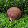 Sleeping Grizzly Bear and Cub Bean Bag Chairs