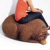 Sleeping Grizzly Bear and Cub Bean Bag Chairs