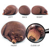 Sleeping Grizzly Bear and Cub Bean Bag Chairs