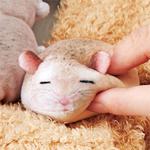 Sleeping Hamsters Tissue Box Cover