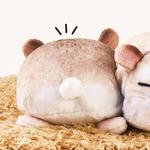 Sleeping Hamsters Tissue Box Cover