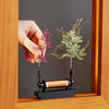 Slow Dance Frame - Makes Small Objects Move In Slow Motion