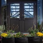Smart Pot Raised Bed Fabric Planter - Unfold, Fill, and Plant!
