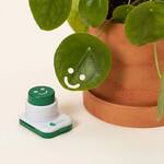 Smiling Leaves - Whimsical Plant Leaf Punch Set