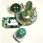 Smiling Leaves - Whimsical Plant Leaf Punch Set