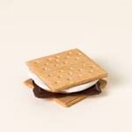 S'mores Coaster Set