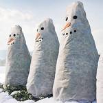 Snowman Bush Covers - Protection From Frost and Snow