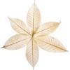 SoapLeaves