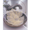 SoapLeaves