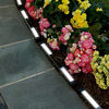 Solar-Powered LED Edging
