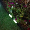 Solar-Powered LED Edging