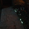 Solar-Powered LED Edging