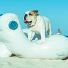 SoundFloat - Luxurious Floating Lounger With Built-in Audio System