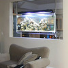Spacearium - Elliptical Suspended Aquariums