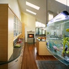 Spacearium - Elliptical Suspended Aquariums