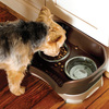 Spill Containing Pet Feeder
