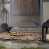 Spirit Board Doormat