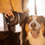 Spleash - Dog Leash Handle, Water Bottle, Flip-Out Bowl, and Sprayer