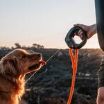 Spleash - Dog Leash Handle, Water Bottle, Flip-Out Bowl, and Sprayer