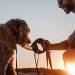 Spleash - Dog Leash Handle, Water Bottle, Flip-Out Bowl, and Sprayer