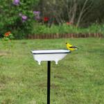 Splish Splash Bird Bath Bathtub