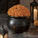 Spooky Black Cauldron Planter