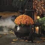 Spooky Black Cauldron Planter