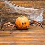 Spooky Halloween Spider Pumpkin Appendages