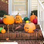 Spooky Halloween Spider Pumpkin Appendages