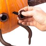 Spooky Halloween Spider Pumpkin Appendages