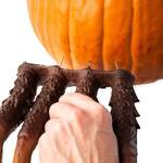 Spooky Halloween Spider Pumpkin Appendages