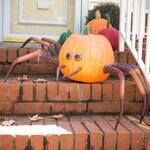Spooky Halloween Spider Pumpkin Appendages