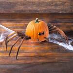 Spooky Halloween Spider Pumpkin Appendages