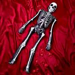 Spooky Life-Sized Skeleton Body Pillow