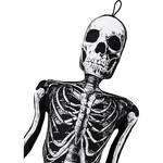 Spooky Life-Sized Skeleton Body Pillow