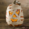 Spooky Lighted Mummy Pumpkins