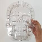 Spooky Skull Pumpkin Shaping Mold