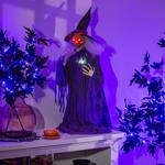 Spooky Tabletop Animated Witch