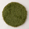 Spring Lawn Grass Placemats