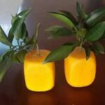 Square-Shaped Apple Molds
