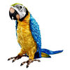 Squawkers McCaw FurReal Interactive Parrot