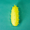 Squishy Bacteria and Virus Stress Balls