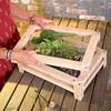 Stackable Herb and Flower Drying Racks