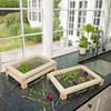 Stackable Herb and Flower Drying Racks