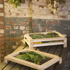 Stackable Herb and Flower Drying Racks