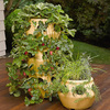 Stackable Strawberry and Herb Planters