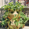Stackable Strawberry and Herb Planters