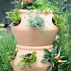 Stackable Strawberry and Herb Planters